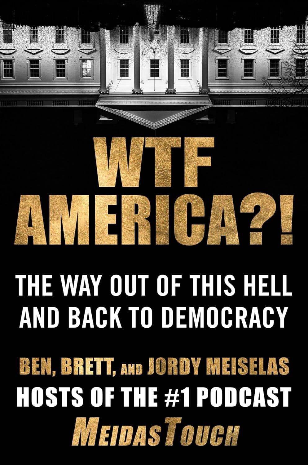WTF America?!: The Way Out of This Hell and Back to Democracy by Ben Meiselas, Brett Meiselas, Jordy Meiselas 