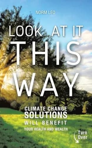 Look at It This Way book cover by Norm Leo